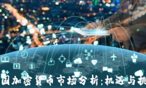 
中国加密货币市场分析：机遇与挑战
