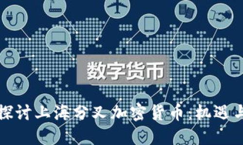 深入探讨上海分叉加密货币：机遇与挑战