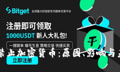 土耳其禁止加密货币：原因、影响与未来展望