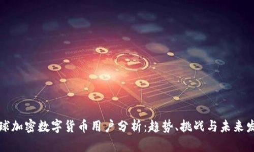 全球加密数字货币用户分析：趋势、挑战与未来发展