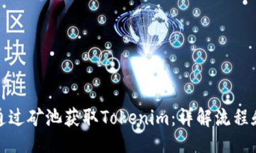 ```xml
如何通过矿池获取Tokenim：详解流程和策略