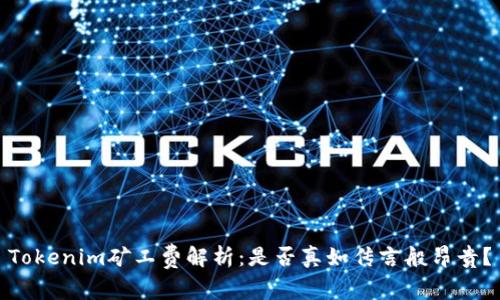 Tokenim矿工费解析：是否真如传言般昂贵？