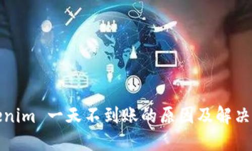 Tokenim 一天不到账的原因及解决方案