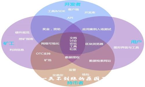 Tokenim 一天不到账的原因及解决方案