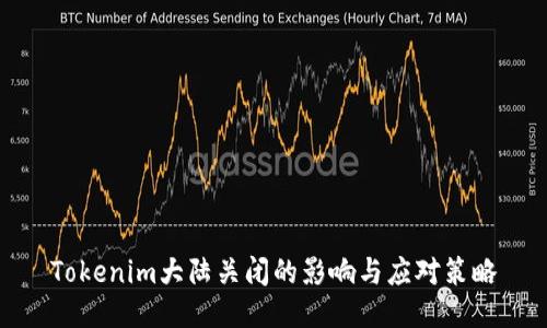 Tokenim大陆关闭的影响与应对策略