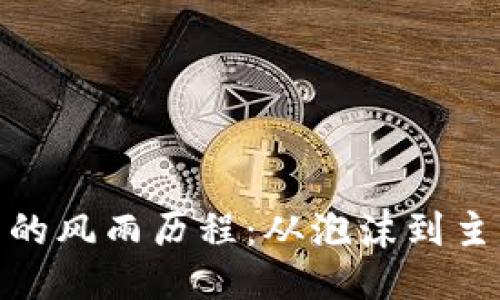 标题

加密货币的风雨历程：从泡沫到主流的变迁