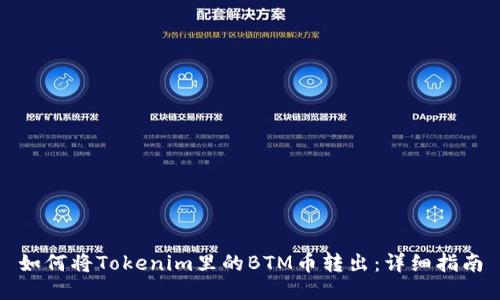 如何将Tokenim里的BTM币转出：详细指南
