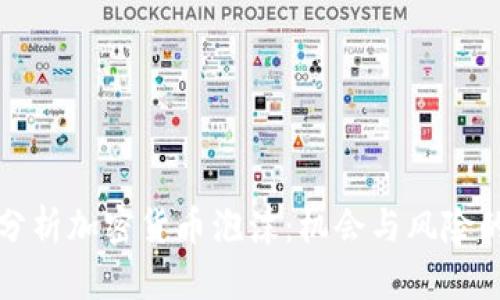 深入分析加密货币泡沫：机会与风险的博弈