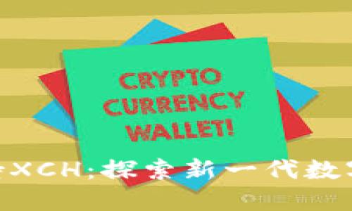 Tokenim支持XCH：探索新一代数字资产的未来