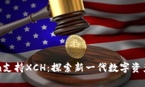 Tokenim支持XCH：探索新一代数字资产的未来