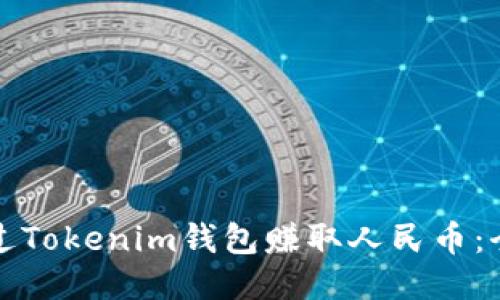 如何通过Tokenim钱包赚取人民币：全面指南