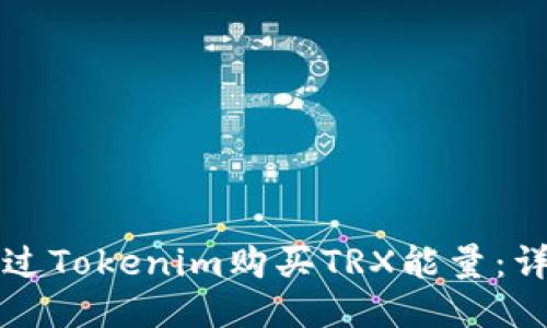 如何通过Tokenim购买TRX能量：详细指南