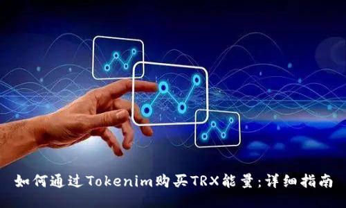 如何通过Tokenim购买TRX能量：详细指南