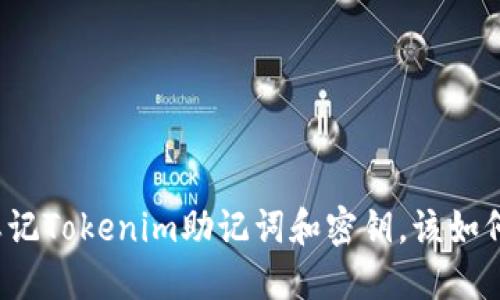 如果忘记Tokenim助记词和密钥，该如何应对？