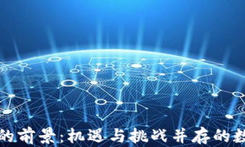 
加密货币未来的前景：机遇与挑战并存的数字经济新纪元