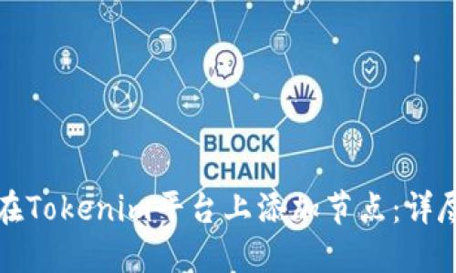 如何在Tokenim平台上添加节点：详尽指南