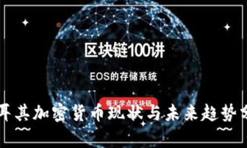 土耳其加密货币现状与未来趋势分析