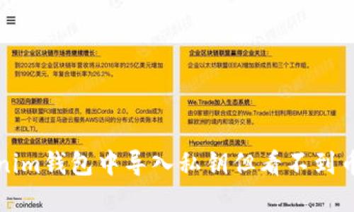 如何在Tokenim钱包中导入私钥但看不到币的解决方案