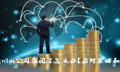 Tokenim公司倒闭了怎么办？应对策略和建议
