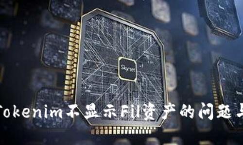 如何解决Tokenim不显示Fil资产的问题与解决方案
