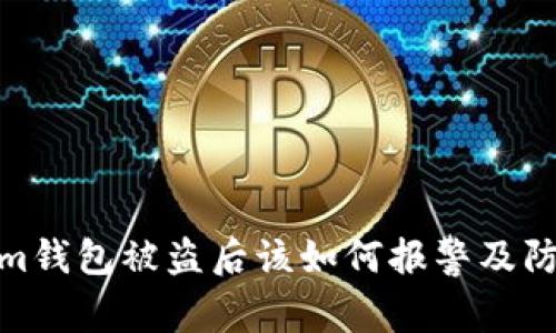 Tokenim钱包被盗后该如何报警及防范措施