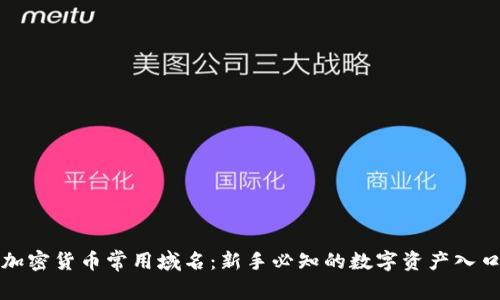 加密货币常用域名：新手必知的数字资产入口