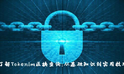 了解Tokenim区块查询：从基础知识到实用技巧