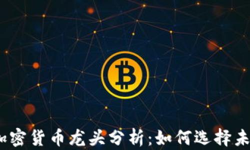 
2023年各大加密货币龙头分析：如何选择未来的投资机会