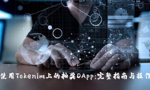 如何使用Tokenim上的抽奖DApp：完整指南与操作技巧