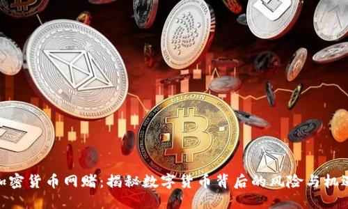 加密货币网赌：揭秘数字货币背后的风险与机遇