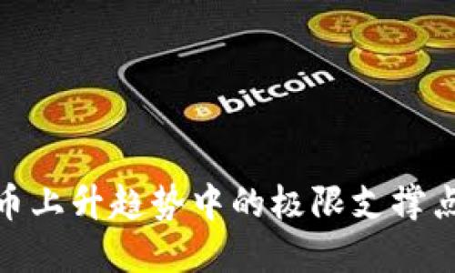 探讨加密货币上升趋势中的极限支撑点与投资机会