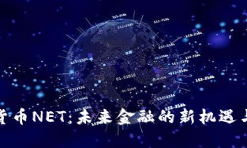 加密货币NET：未来金融的新机遇与挑战