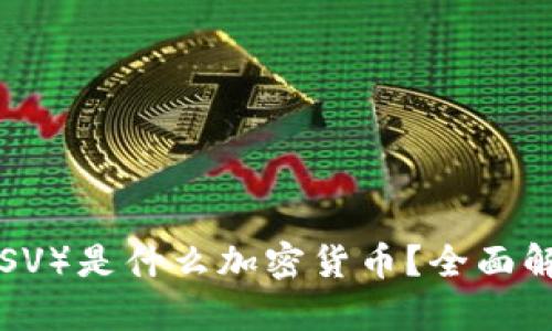 BSV（Bitcoin SV）是什么加密货币？全面解析与未来展望