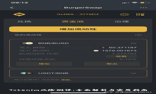 Tokenim风险测评：全面解析与实用指南