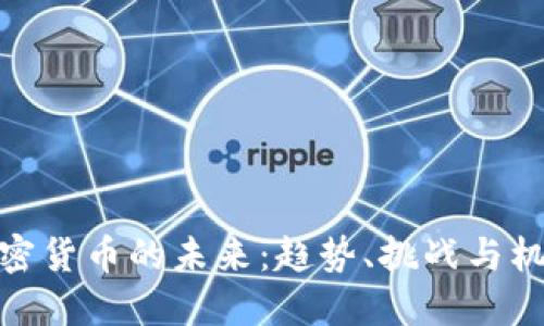 加密货币的未来：趋势、挑战与机遇
