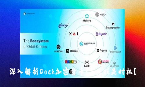 深入解析Dock加密货币：未来或是时机？