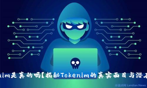 Tokenim是真的吗？揭秘Tokenim的真实面目与潜在风险