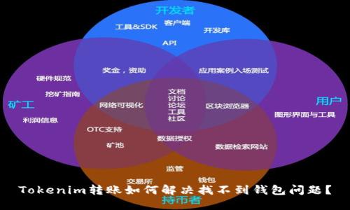 Tokenim转账如何解决找不到钱包问题？