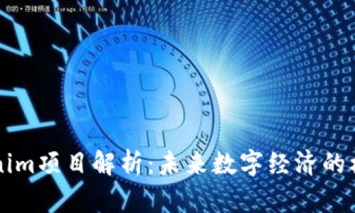 南昌Tokenim项目解析：未来数字经济的机遇与挑战