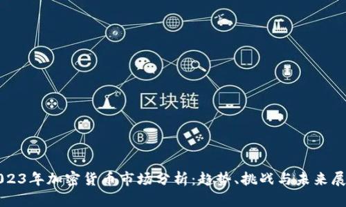 2023年加密货币市场分析：趋势、挑战与未来展望