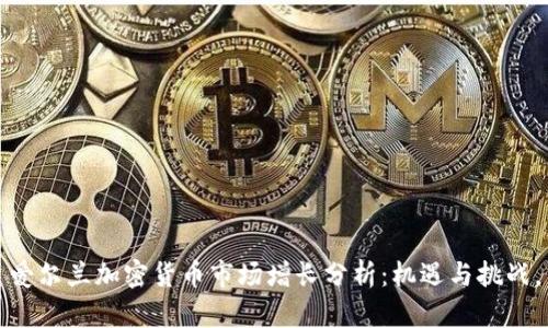 爱尔兰加密货币市场增长分析：机遇与挑战。