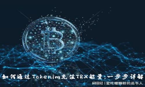 如何通过Tokenim充值TRX能量：一步步详解