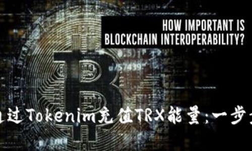 如何通过Tokenim充值TRX能量：一步步详解