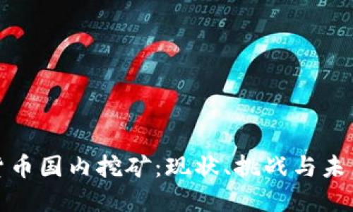 加密货币国内挖矿：现状、挑战与未来发展