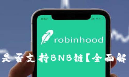 Tokenim钱包是否支持BNB链？全面解析与使用指南
