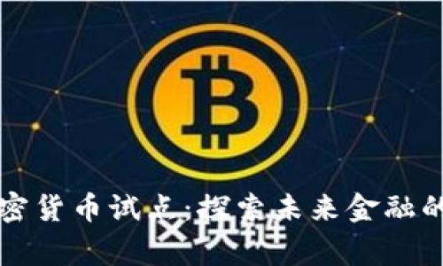 国家加密货币试点：探索未来金融的新前景