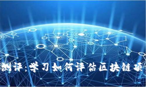 Tokenim测评：学习如何评估区块链项目的价值