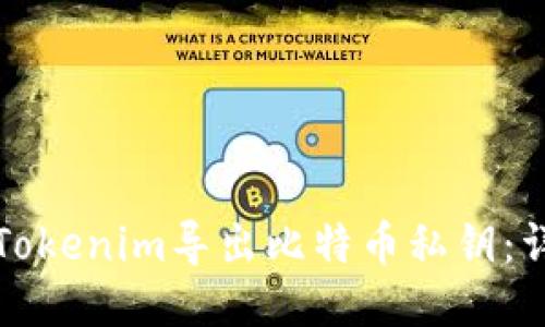 如何从Tokenim导出比特币私钥：详尽指南