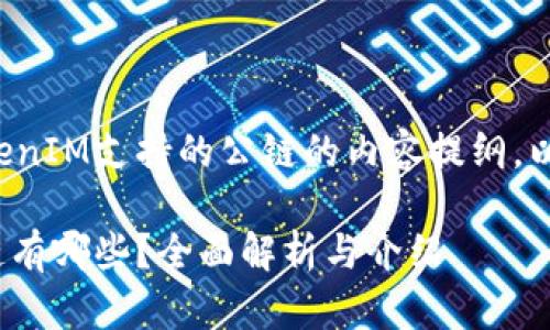 以下是一个关于TokenIM支持的公链的内容提纲，以及相关问题的介绍：

TokenIM支持的公链有哪些？全面解析与介绍