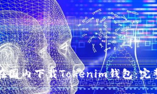 如何在国内下载Tokenim钱包：完整指南